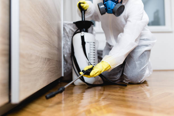 Best Best Pest Control Companies  in Sun Prairie, MT