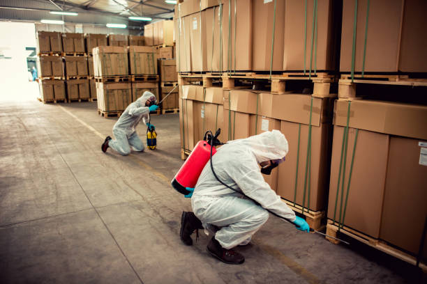 Wildlife Control Services in Sun Prairie, MT