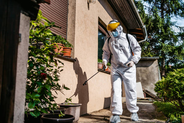 Best Bed Bug Extermination  in Sun Prairie, MT