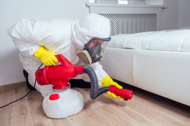 Best Flea Control Services  in Sun Prairie, MT
