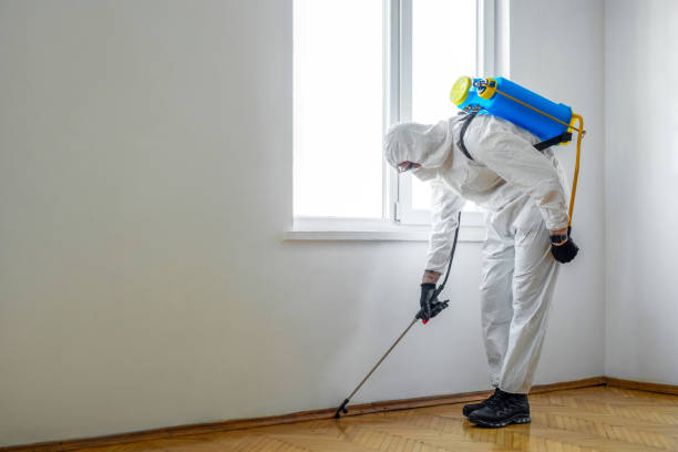 Best Local Pest Control Services  in Sun Prairie, MT