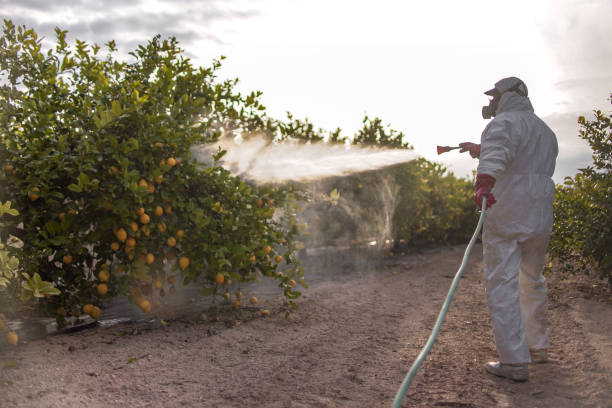 Best Pest Removal Services  in Sun Prairie, MT