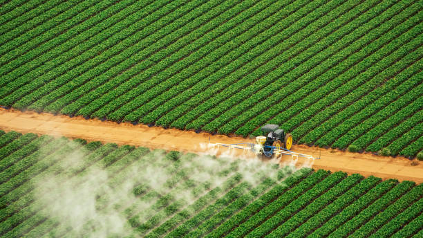 Best Commercial Pest Control Services  in Sun Prairie, MT