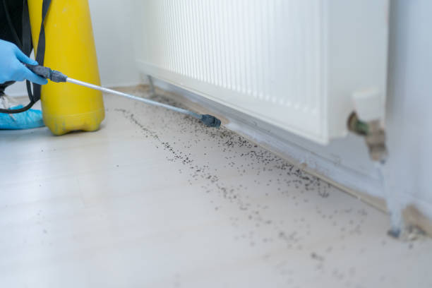 Best Residential Pest Control  in Sun Prairie, MT